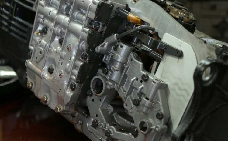  قيرات مستوردة للبيع في الدمام